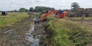 Wiederherstellung naturnaher Gewasserstrukturen in der Unteren Barthe