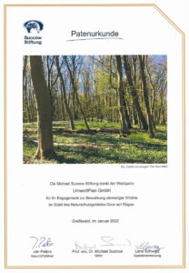 Patenurkunde Michael Succow Stiftung