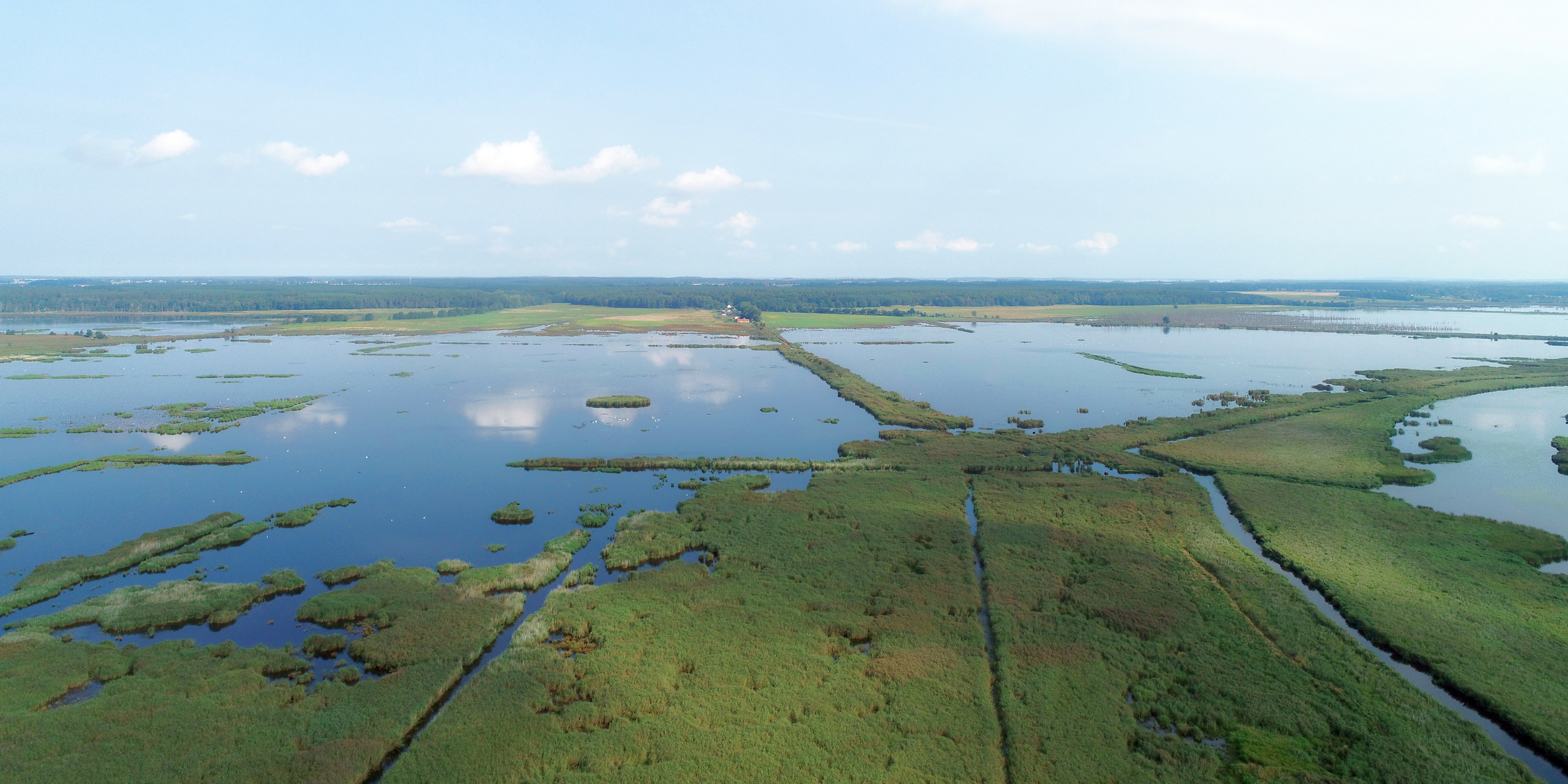 dcim100mediadji 0233.jpg