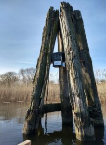 se einsatz dauerhorchbox zur erfassung von fledermaeusen auf der warnow foto henrik pommeranz