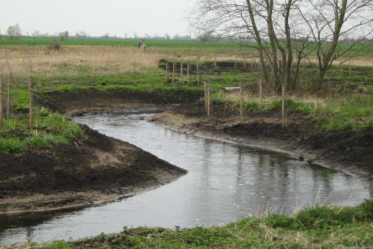 zarnowrenaturierungimg 1589 3 2